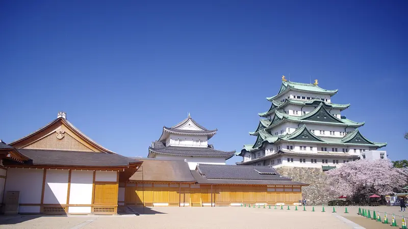 The roofs of Honmaru Palace in front of Nagoya Castle's small keep and main keep, with cherry blossoms